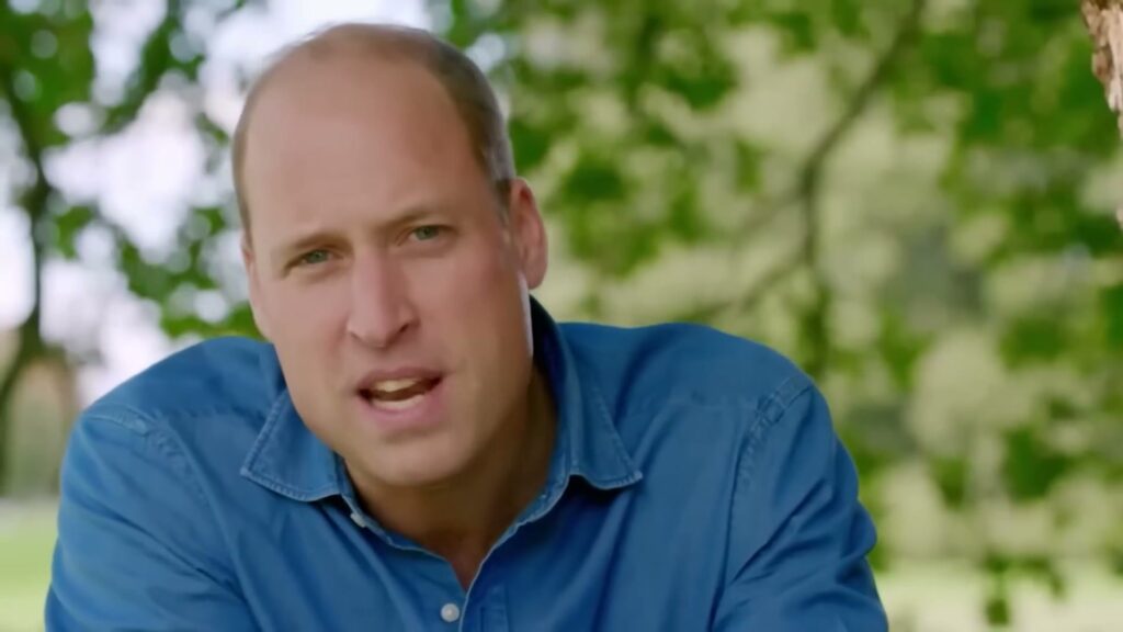 Outdoors in a blue shirt, late afternoon